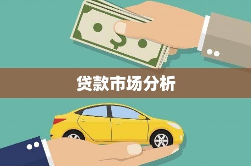牡丹贷款市场分析