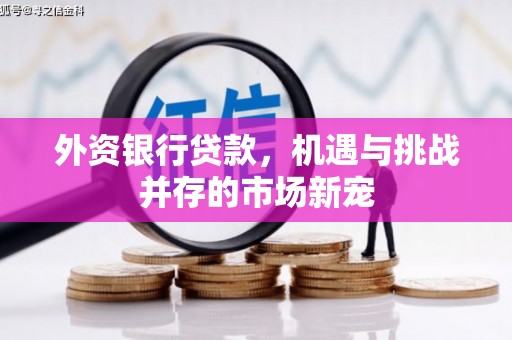 牡丹外资银行贷款，机遇与挑战并存的市场新宠