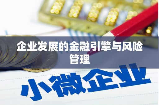 牡丹企业发展的金融引擎与风险管理