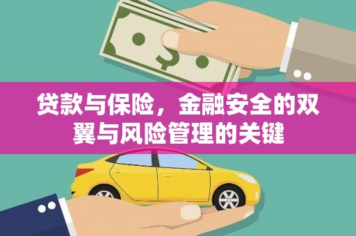 牡丹贷款与保险，金融安全的双翼与风险管理的关键
