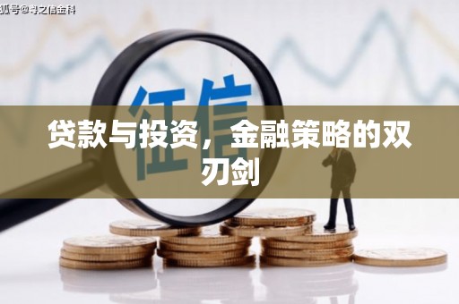 牡丹贷款与投资，金融策略的双刃剑
