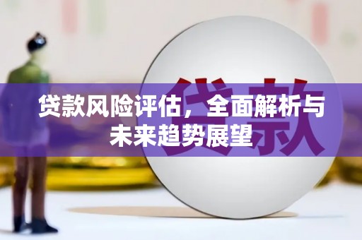 牡丹贷款风险评估，全面解析与未来趋势展望
