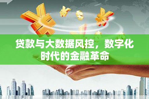 牡丹贷款与大数据风控，数字化时代的金融革命