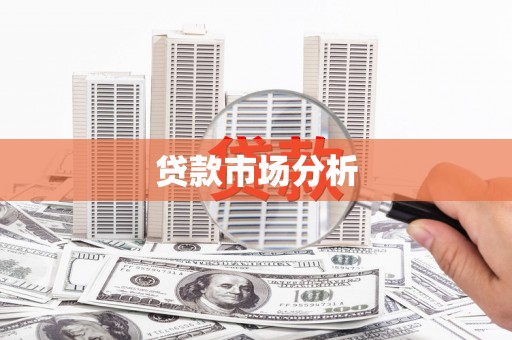 牡丹贷款市场分析
