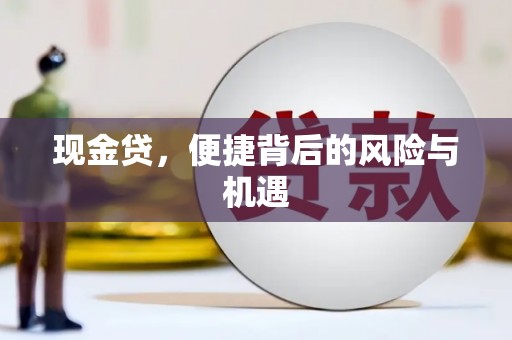 牡丹现金贷，便捷背后的风险与机遇