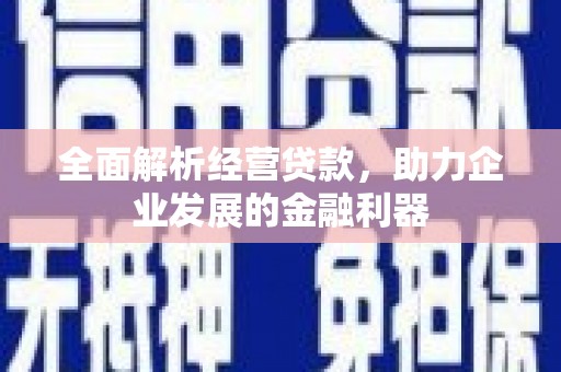牡丹全面解析经营贷款，助力企业发展的金融利器