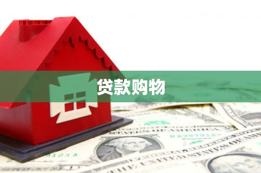 牡丹贷款购物