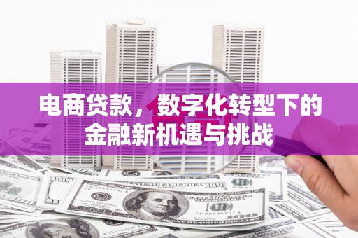 牡丹电商贷款，数字化转型下的金融新机遇与挑战