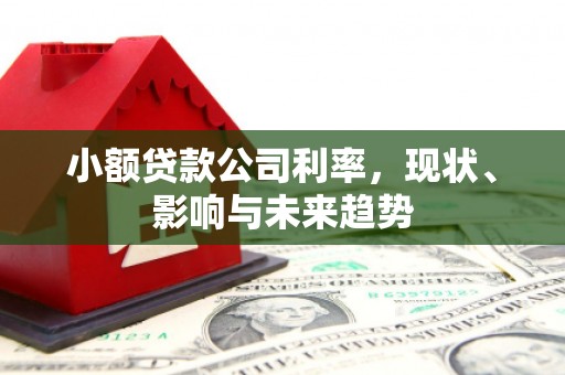 牡丹小额贷款公司利率，现状、影响与未来趋势