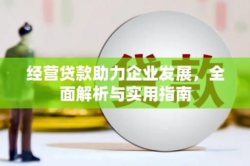 牡丹经营贷款助力企业发展，全面解析与实用指南