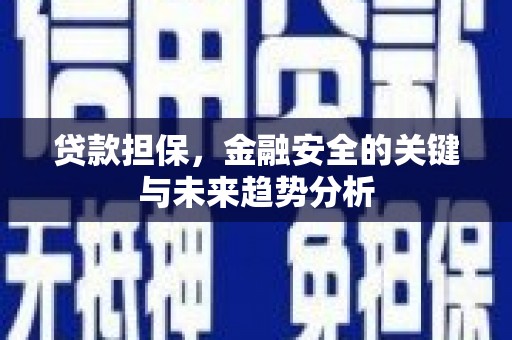 牡丹贷款担保，金融安全的关键与未来趋势分析