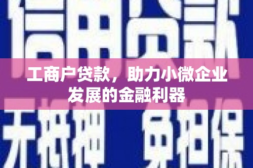 牡丹工商户贷款，助力小微企业发展的金融利器