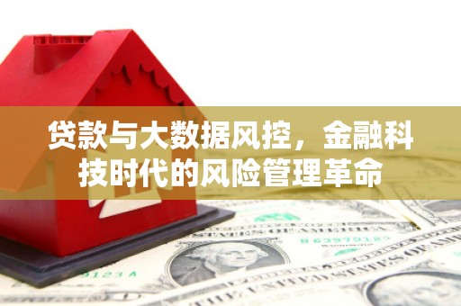 牡丹贷款与大数据风控，金融科技时代的风险管理革命