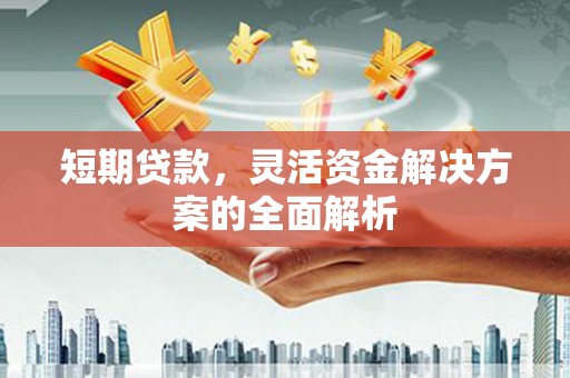 牡丹短期贷款，灵活资金解决方案的全面解析