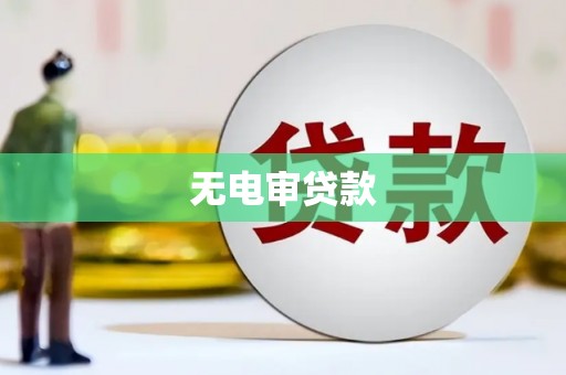 牡丹无电审贷款