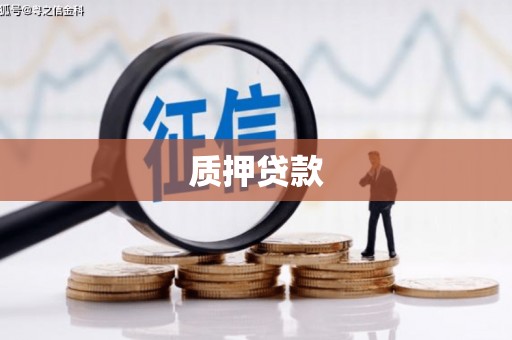 牡丹质押贷款