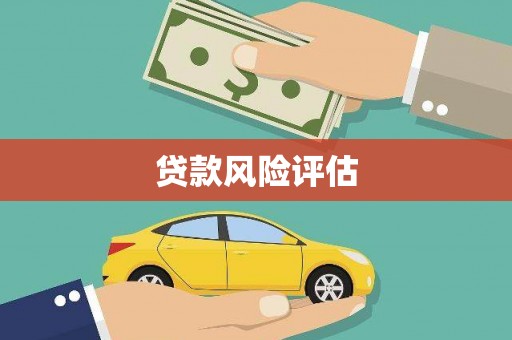 牡丹贷款风险评估