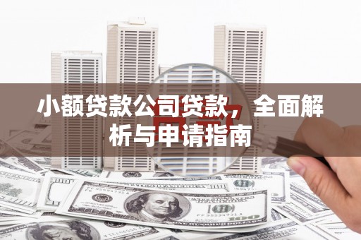 牡丹小额贷款公司贷款，全面解析与申请指南