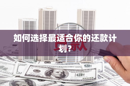 牡丹如何选择最适合你的还款计划？