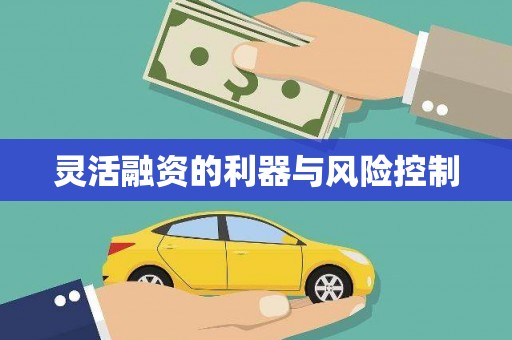 牡丹灵活融资的利器与风险控制