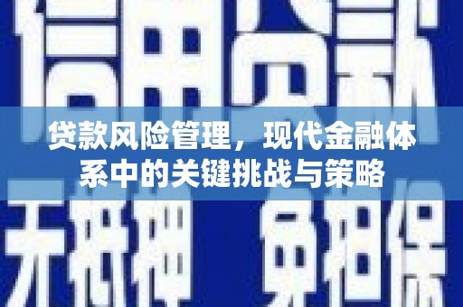 牡丹贷款风险管理，现代金融体系中的关键挑战与策略
