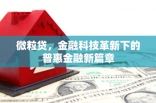 牡丹微粒贷，金融科技革新下的普惠金融新篇章
