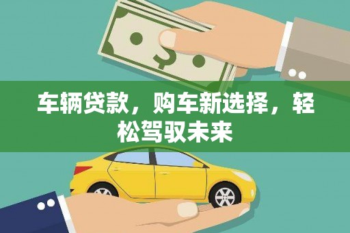 牡丹车辆贷款，购车新选择，轻松驾驭未来