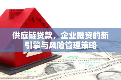 牡丹供应链贷款，企业融资的新引擎与风险管理策略