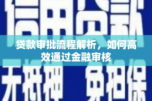 牡丹贷款审批流程解析，如何高效通过金融审核