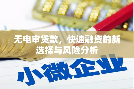 牡丹无电审贷款，快速融资的新选择与风险分析