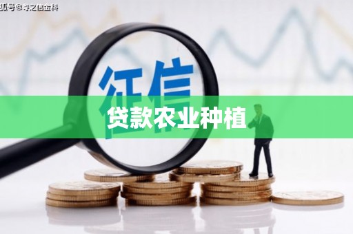牡丹贷款农业种植