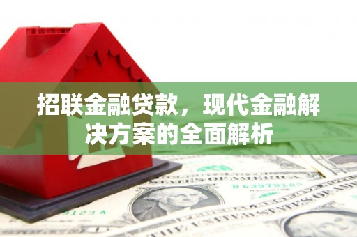 牡丹招联金融贷款，现代金融解决方案的全面解析
