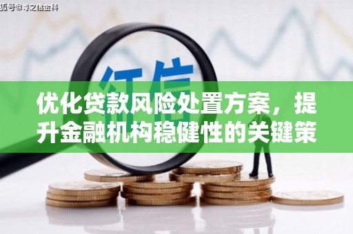 牡丹优化贷款风险处置方案，提升金融机构稳健性的关键策略