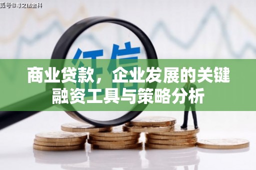牡丹商业贷款，企业发展的关键融资工具与策略分析