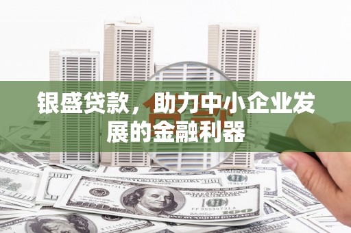 牡丹银盛贷款，助力中小企业发展的金融利器