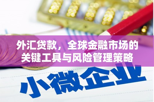 牡丹外汇贷款，全球金融市场的关键工具与风险管理策略