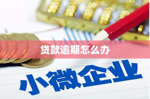牡丹贷款逾期怎么办
