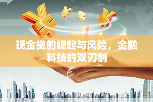牡丹现金贷的崛起与风险，金融科技的双刃剑