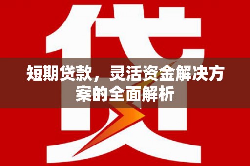 牡丹短期贷款，灵活资金解决方案的全面解析