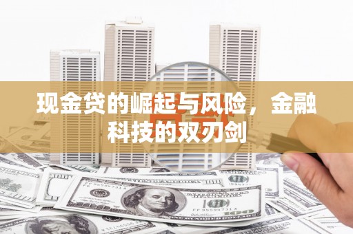 牡丹现金贷的崛起与风险，金融科技的双刃剑