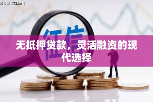 牡丹无抵押贷款，灵活融资的现代选择