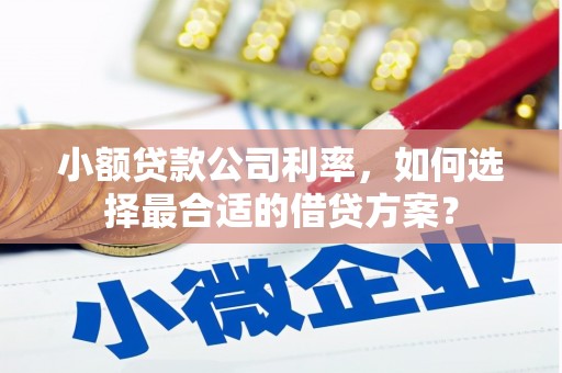 牡丹小额贷款公司利率，如何选择最合适的借贷方案？
