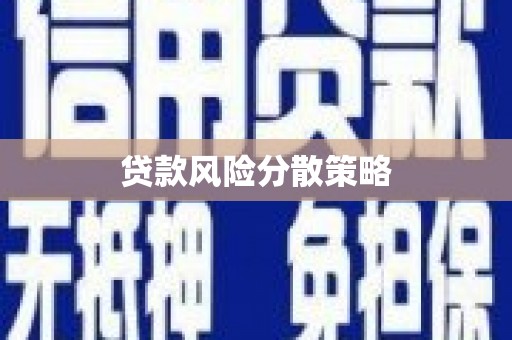 牡丹贷款风险分散策略