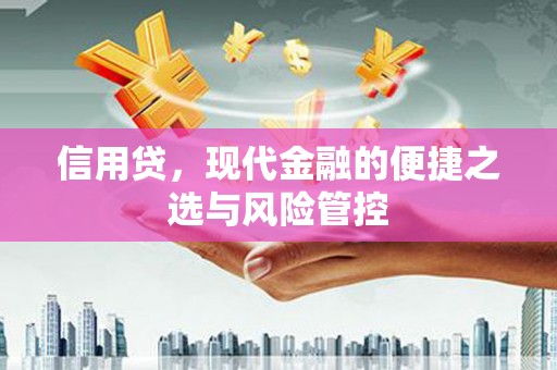 牡丹信用贷，现代金融的便捷之选与风险管控