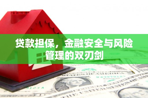 牡丹贷款担保，金融安全与风险管理的双刃剑