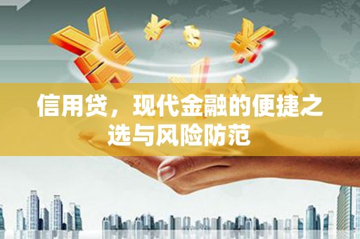 牡丹信用贷，现代金融的便捷之选与风险防范