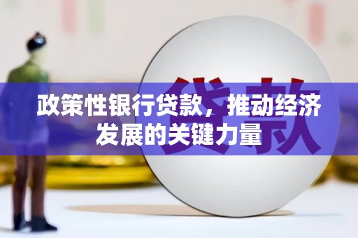 牡丹政策性银行贷款，推动经济发展的关键力量