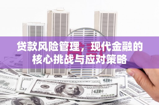 牡丹贷款风险管理，现代金融的核心挑战与应对策略