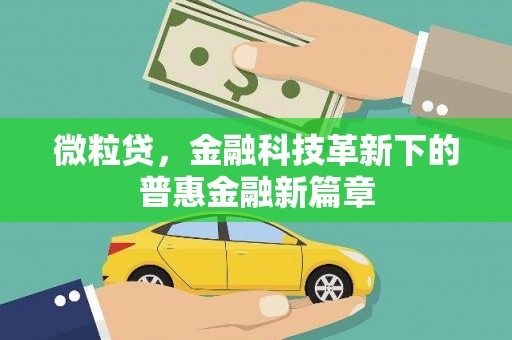 牡丹微粒贷，金融科技革新下的普惠金融新篇章