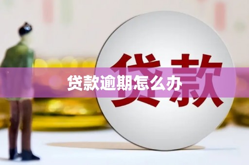 牡丹贷款逾期怎么办